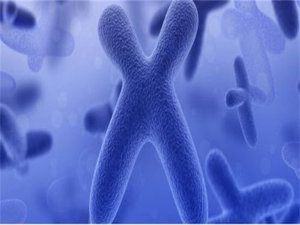 美国 vs 中国试管婴儿：周期、费用、成功率全方位对比